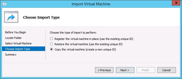 14. On the Choose Import Type page, select Copy the virtual machine and