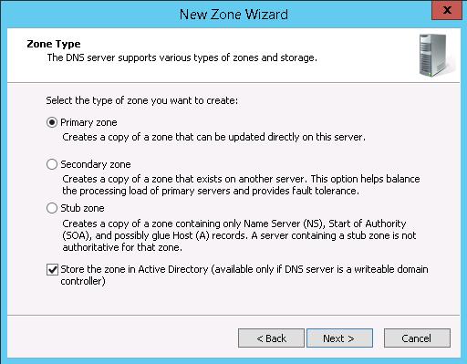 4. On the Zone Type page, accept the default settings and click