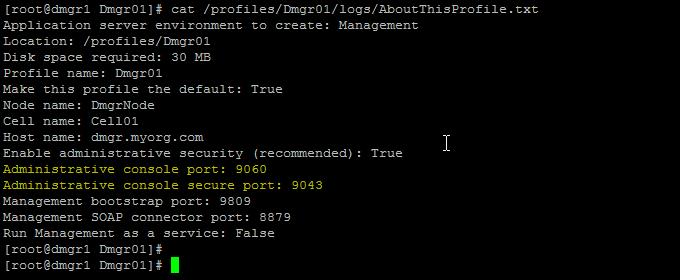 f) Get the WAS admin console ports from AboutThisProfile.txt [root@dmgr1 Dmgr01]# cat /profiles/dmgr01/logs/aboutthisprofile.txt Cell name: Cell01 Host name: dmgr.myorg.