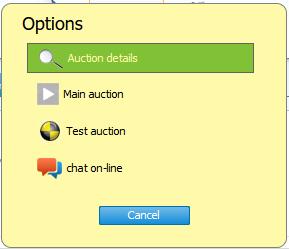 Test auction - enables to participate in an auction with the same assumptions as a proper auction, with the difference that the proposals made are not binding.