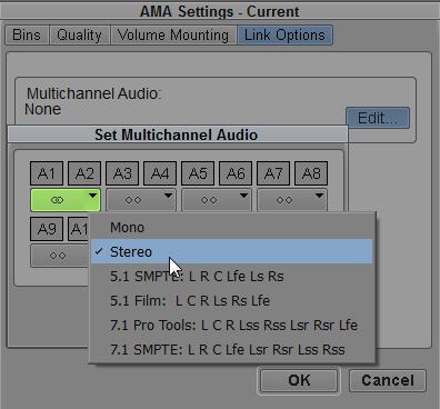 AMA Settings: Link Options Set how audio appears in clips An audio track can contain several voices.