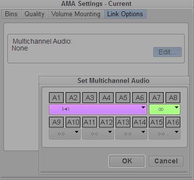 Audio Track Display Format Media Composer, Symphony, and NewsCutter now enable you to designate audio tracks in a clip as being Mono (discrete), Stereo, 5.1,
