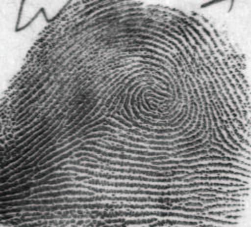 Introduction Fingerprint classification is a coarse level partitioning of a large fingerprint database, where the class of the input fingerprint is first determined and subsequently, a search is