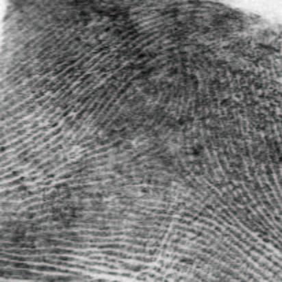 Noise in fingerprint images leading to errors in classification. The true and assigned classes of the fingerprints in the top (bottom) panels are left-loop and arch (leftloop and whorl), respectively.