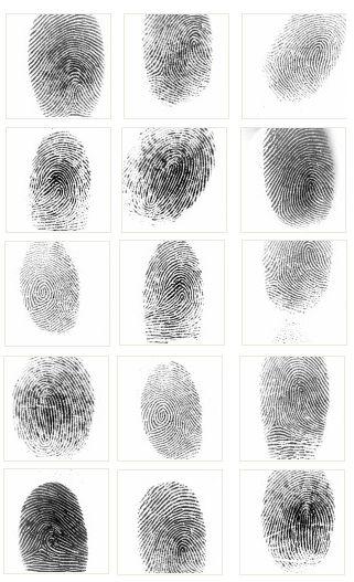 Challenges Lack of natural ordering of biometric data.