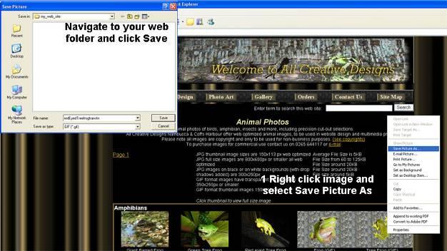 Insert an image into your web page Saving an image for your web page Go to our web site > Gallery > Animals or control click link below: http://www.allcreativedesigns.com.