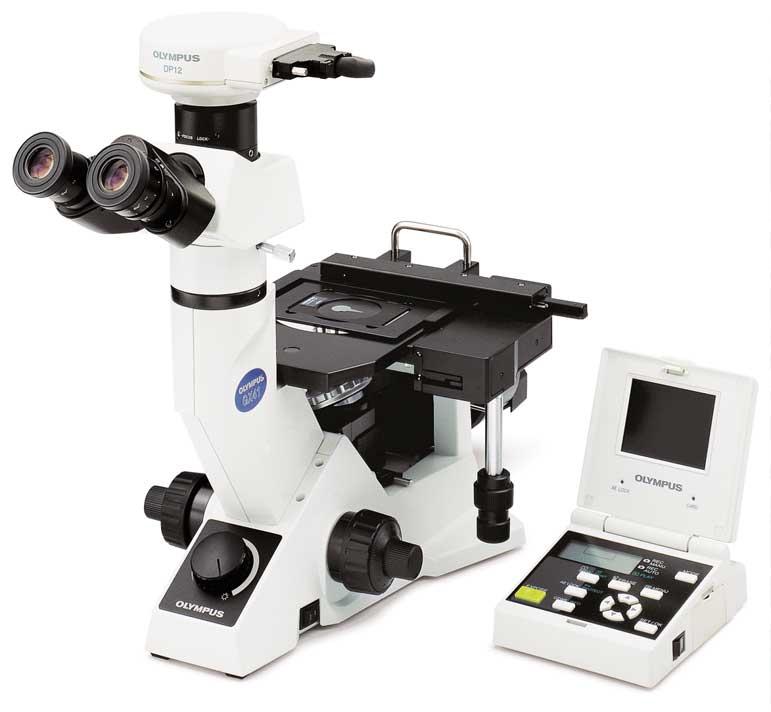 Fast, easy image recording Users can attach a digital microscope camera like the DP12, a video