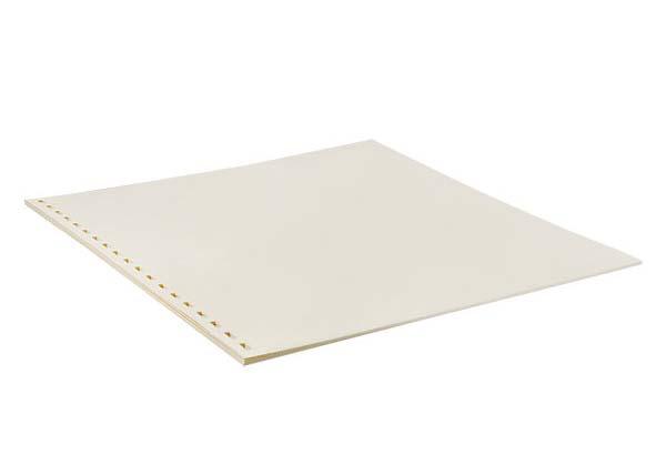 101016 $3.00 Sturdy Signature Guide Hard plastic, about the size of a credit card. 103002 $22.00 Manila Braille Paper 8.