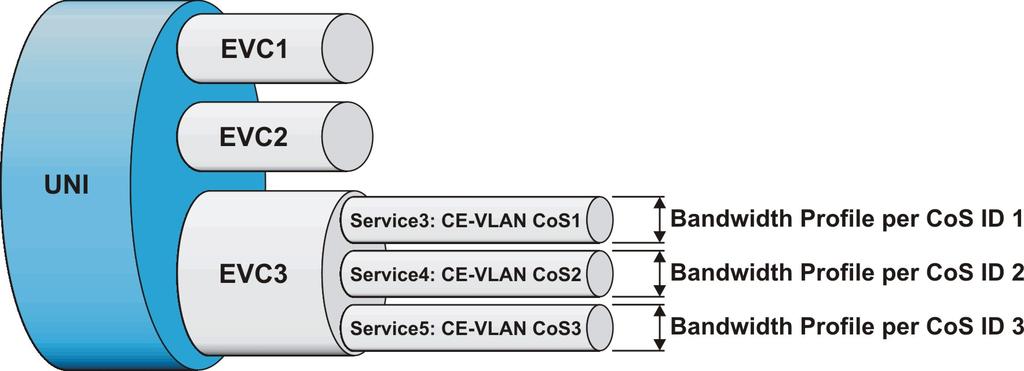 CE-VLAN 2008 RAD Data