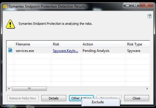 Select the detected file form the Symantec Endpoint Protection Detection Results dialog box and click