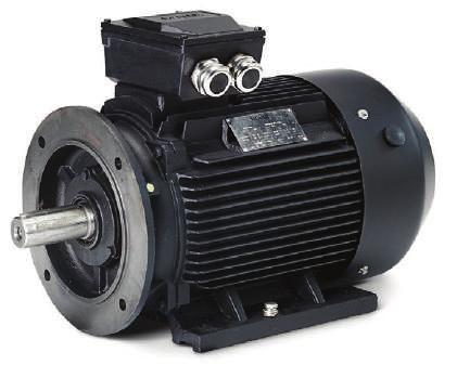 Hoyer IE Marine Electric Motors General information about Hoyer IE marine electric motors Hoyer IE marine electric motors are manufactured according to international standards under IEC, and can be