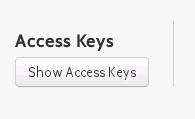 Copy & paste the Access Keys