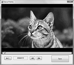 appears. To add movies to the previously selected ones, select the movies in the main window and drag and drop onto the window for selecting movies.