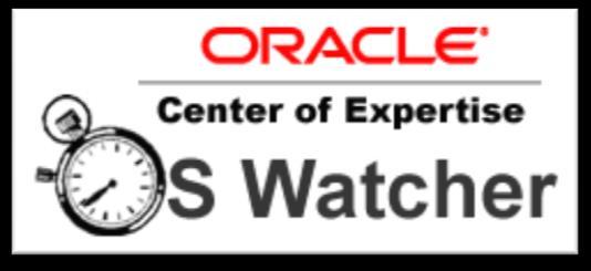 OS Watcher (Support Tools Bundle) Collect & Archive OS Metrics Executes standard UNIX utilities (e.g.