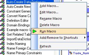 5 Right-click the Auto Create Data Dictionary macro and then click Run Macro.