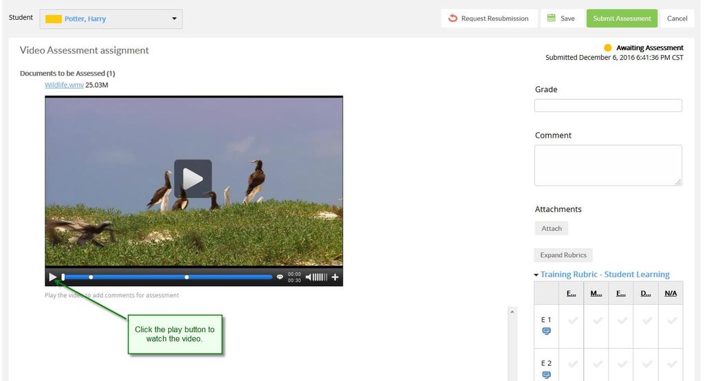 4. On the Assessment page, the student-submitted streaming video will be displayed. Click the play button to watch the video.