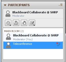 2) To mute/unmute the Teleconference: Go the Teleconference item in the Participants list