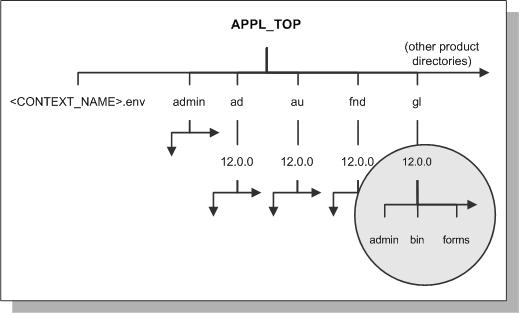 APPL_TOP Directory Structure Within each <PROD>_TOP directory, the product's files are grouped into subdirectories according to file type and function.
