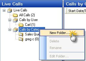 Create a New Folder Select Calls by User or Calls by Category right- click choose New Folder The following window will display.
