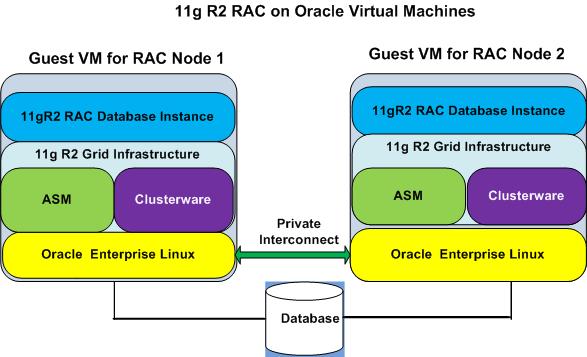 Deployment Method of RAC On Oracle VMs Guest VMs are running OS just like physical host Required Shared storage and public