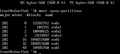 physical volumes of the virtual machine: xvdb and xvdc for shared storage Data
