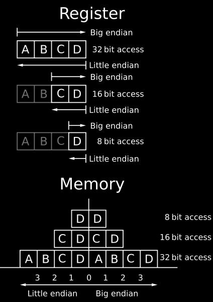 x86 Data Types Endianness What is the problem?