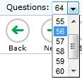 Navigating to Questions You can navigate to questions page by page or jump directly to a question page. Figure 13.