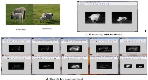 Experimental results show that our method can detect co-salient multiple objects from an image pair. For example, dog with different colors are shown in the first row of Fig.