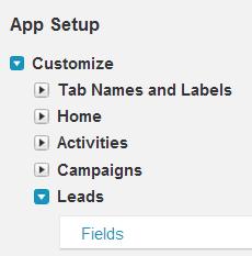 Customize Lead Settings Map Lead Field 1. Go to Setup > App Setup > Customize > Leads > Fields 2.