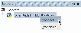 Selecting the node in the tree displays the server process properties.