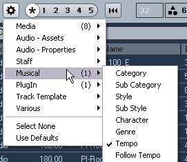 Option Plug-in Presets Video Files Projects Description When this is activated, the list shows all VST presets for instrument and effect plug-ins.
