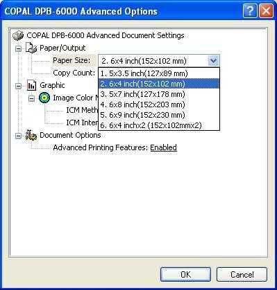 3. Setting of print size [start] menu -> [Printers and Faxes] -> right click [DPB-6000] icon -> [Properties] -> [General] -> [Advanced Options] -> [Advanced Document Settings] at [Layout] (1) (1)