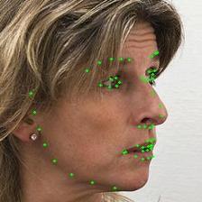7 Figure 8: Examples of face alignment on large poses from the AFLW2000-3D database.