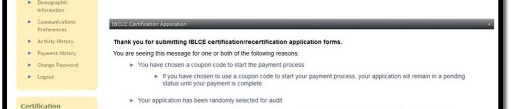 Application Audit If your application is