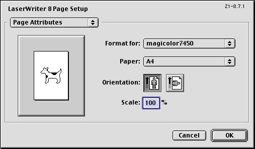 Specifying Page Setup Settings The Page Setup dialog box appears when Page Setup... is selected from the File menu.
