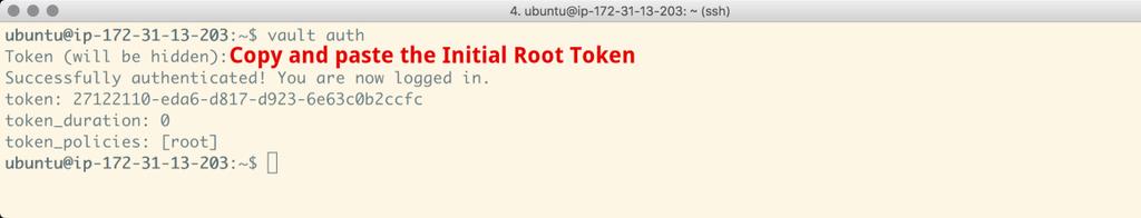 Step 6. Enable Audit Logging 1. Authenticate by using the initial root token, which is provided as part of the Vault initialization output. 2.