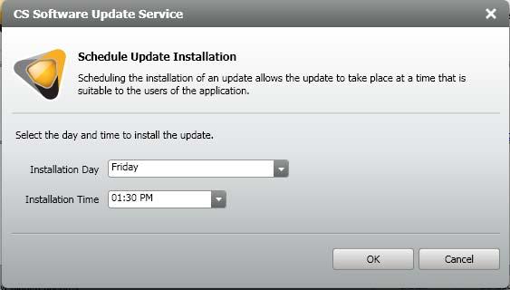 OR Click Schedule. The CS Software Update Service Schedule Update Installation window is displayed.