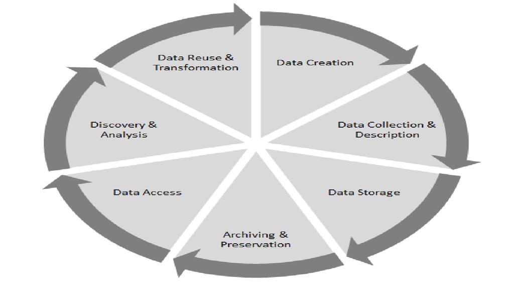 Common Data Lifecycle Stages From: Fary, Michael and Owen, Kim, Developing an InsCtuConal Research Data