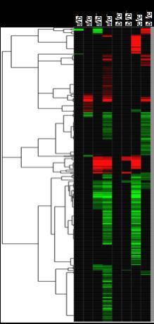 Example: clustering genes Microarrays measures the activities of all genes in