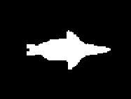 1 Image after Hotlling Transform Figure 4 Image of an air craft with