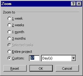 The Zoom dialog box is displayed: Select an option from the list or use the Custom option to create