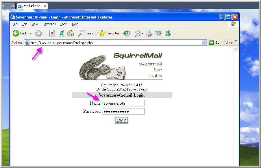 Restart services bind9 Access web mail from