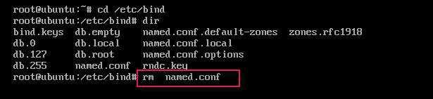Commands install service bind9 Select Y