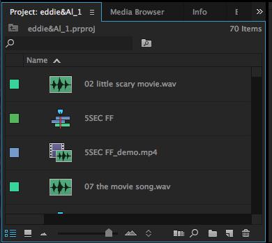 ) Timeline audio tracks 4) Audio track buttons You can lock, toggle sync lock, mute or solo audio in this area of the audio tracks Closeup view of the Project Window icons: Video clips with green