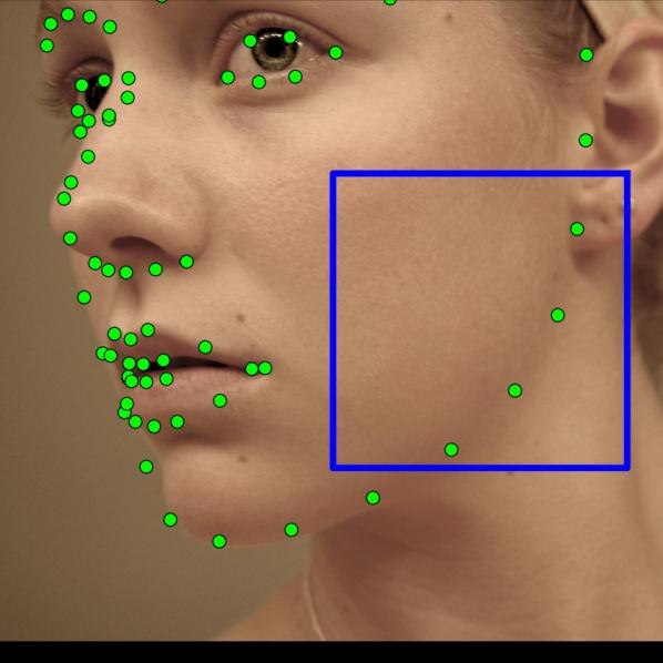Koestinger, P. Wohlhart, P. M. Roth, and H. Bischof. Annotated facial landmarks in the wild: A large-scale, realworld database for facial landmark localization.