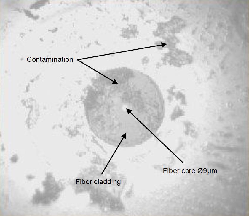 View on a physical contact termini end-face at 200x magnification showing typical contamination from dust and oily deposits.