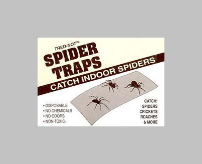 Spider traps } A spider trap is a set of web pages that may be used to cause a web crawler to make an infinite number of requests or cause a poorly constructed crawler to crash } To catch spambots or