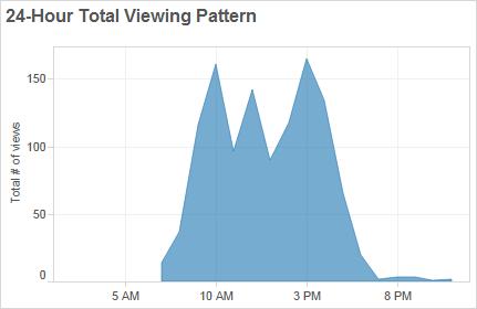 Time, 24-Hour Total Viewing Pattern sums the data in Total Views Over Time and displays it in a 24-hour time period so that you can see typical patterns over the course of a day: User Activity The