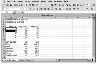 Spreadsheet Hints and Tips 13 Enter a formula to calculate the next value in the series into cell A6 (=A3+1). Copy the formula in cell A6 (select the cell and press <control>+c or apple+c).