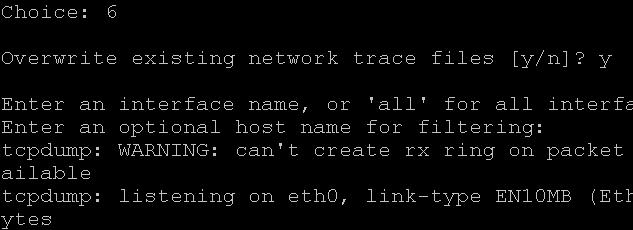 Networking Info shows the IP addresses, and then moving down to the route table, arp cache, ping, trace route, and nslookup.